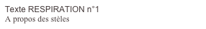 Texte RESPIRATION n°1
A propos des stèles