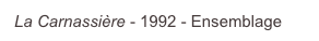  La Carnassière - 1992 - Ensemblage