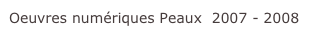 Oeuvres numériques Peaux  2007 - 2008